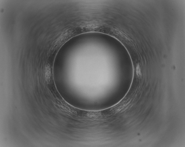 X0000072941299200607211051