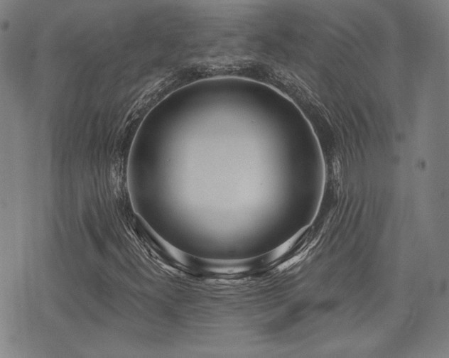 X0000072941300200607211051