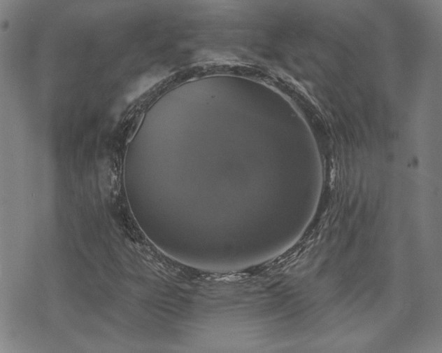 X0000072941303200607211051