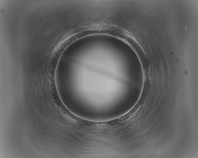 X0000072941304200607211051