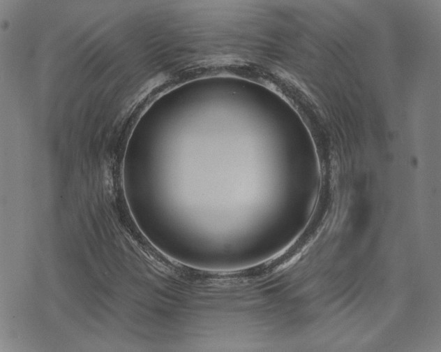 X0000072941305200607211051