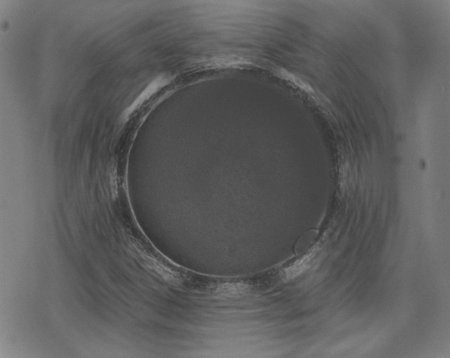 X0000072941306200607211051