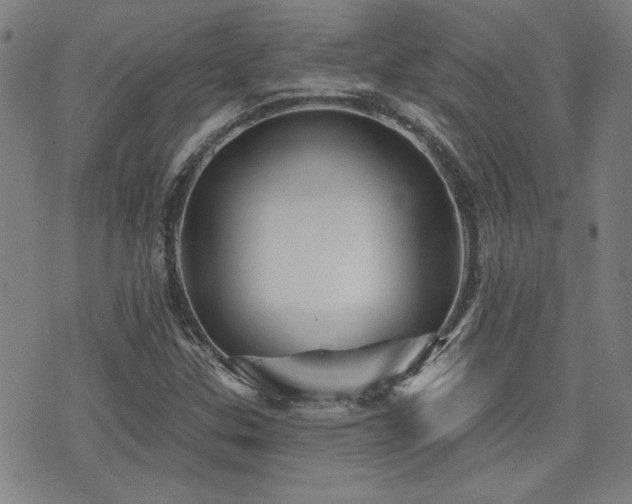 X0000072941307200607211051