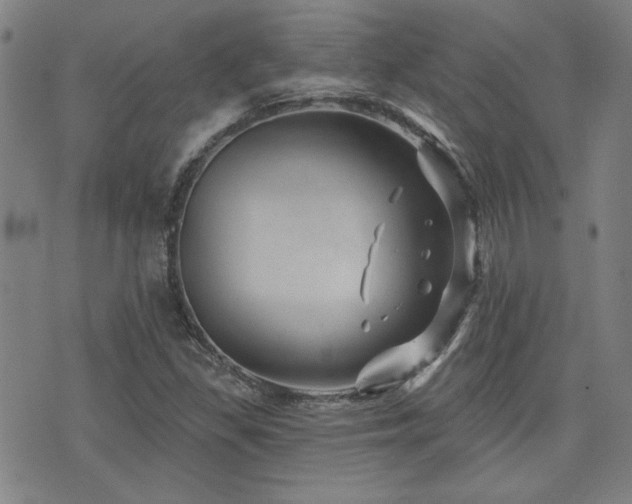 X0000072941309200607211051