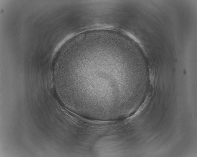 X0000072941310200607211051