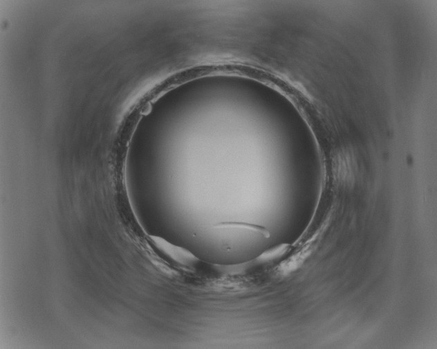 X0000072941311200607211051