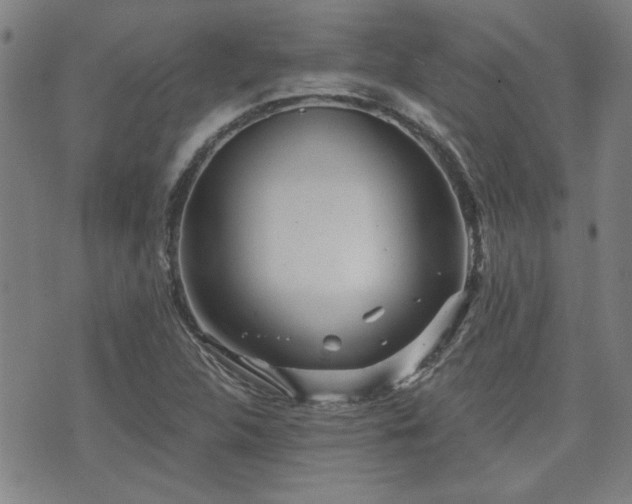 X0000072941312200607211051