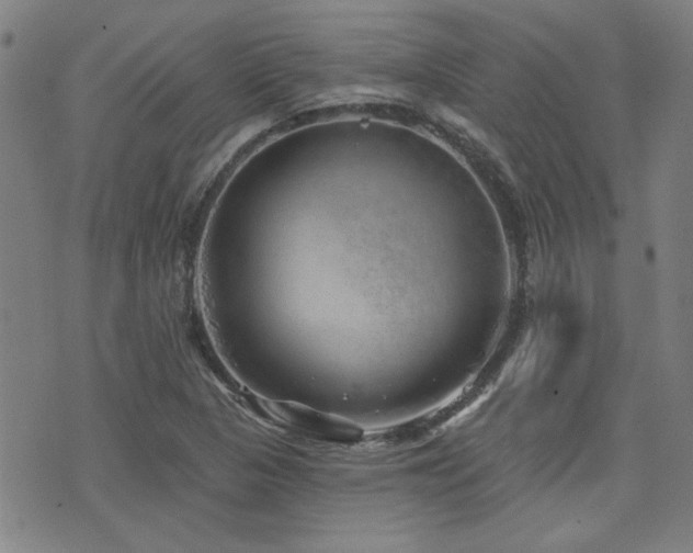 X0000072941313200607211052