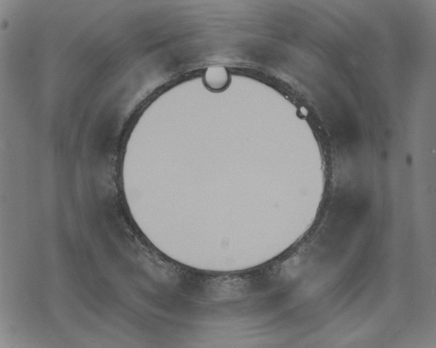 X0000072941314200607211052