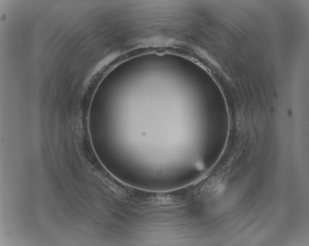 X0000072941315200607211052