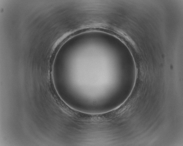 X0000072941316200607211052