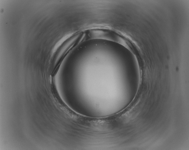 X0000072941317200607211052