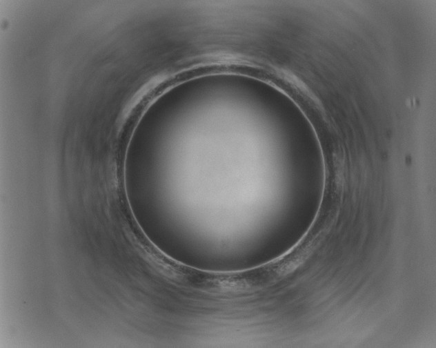 X0000072941318200607211052