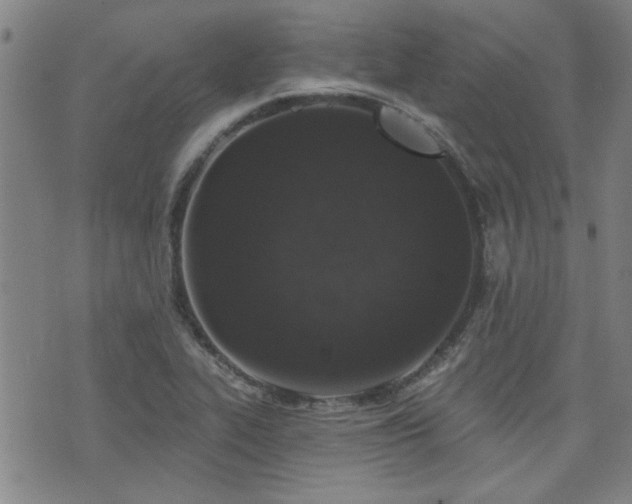 X0000072941319200607211052