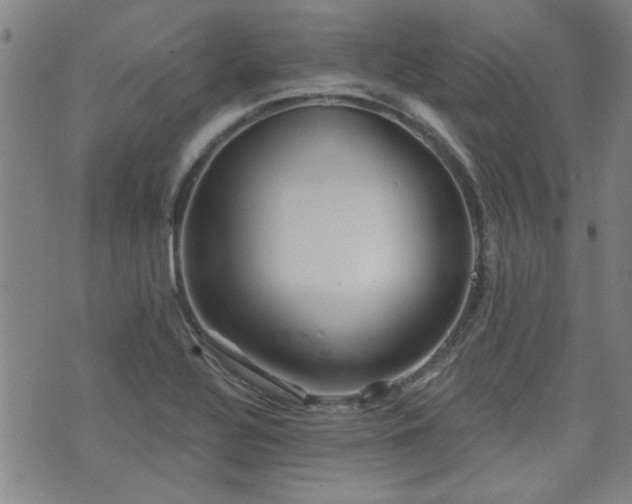 X0000072941320200607211052