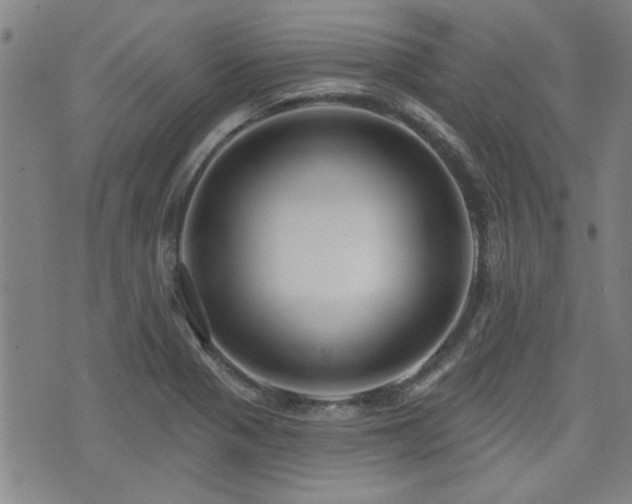 X0000072941321200607211052