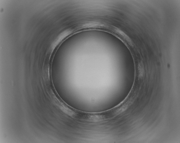 X0000072941322200607211052