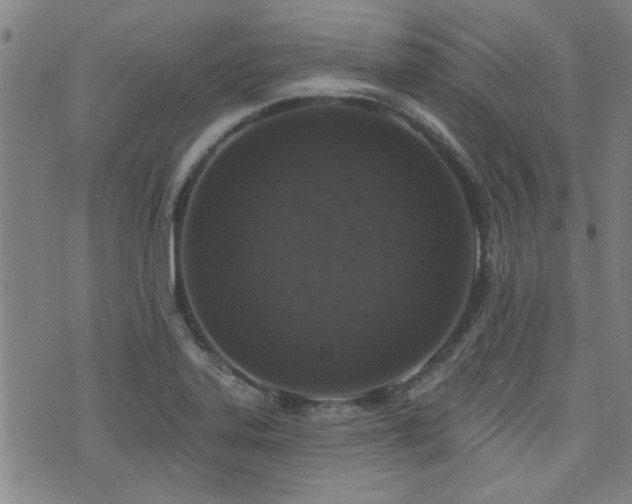 X0000072941323200607211052