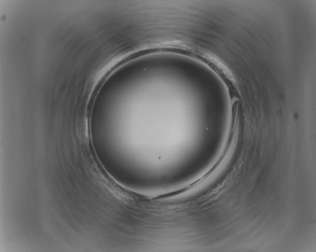 X0000072941324200607211052