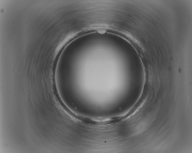 X0000072941325200607211052