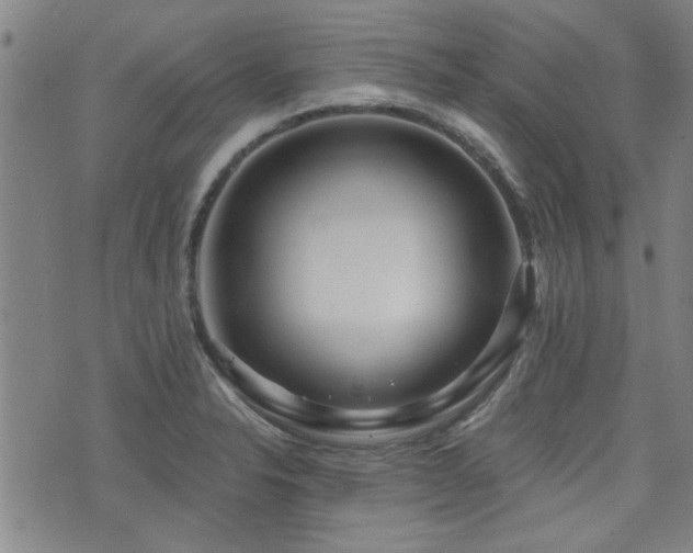 X0000072941326200607211052