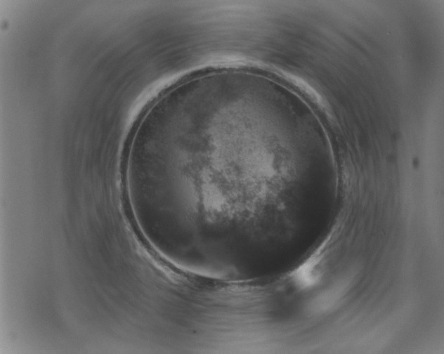 X0000072941327200607211052