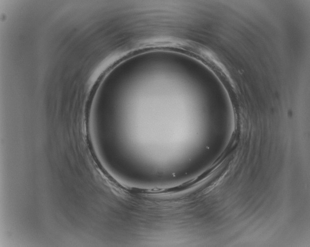 X0000072941328200607211052