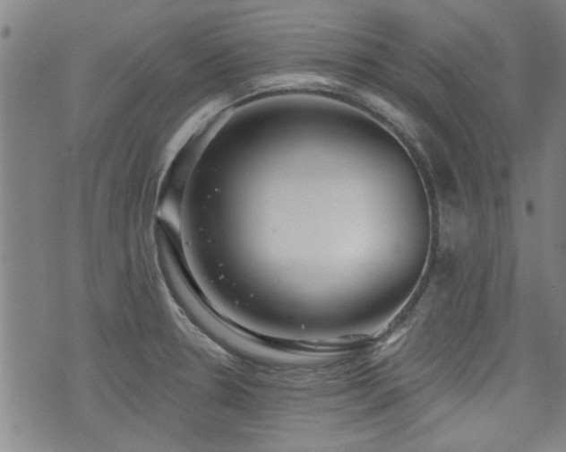 X0000072941330200607211052