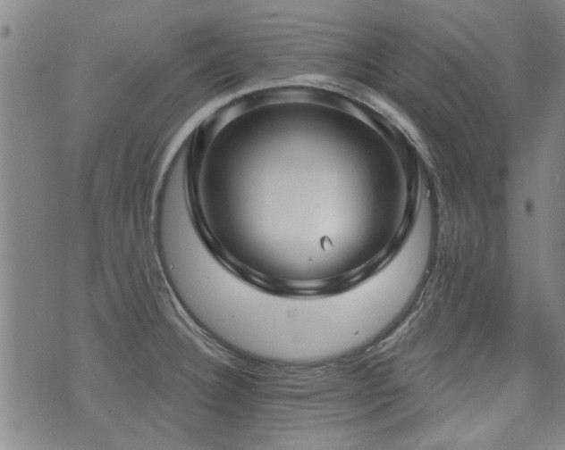 X0000072941332200607211052