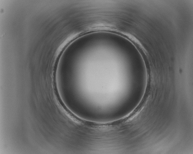 X0000072941333200607211052