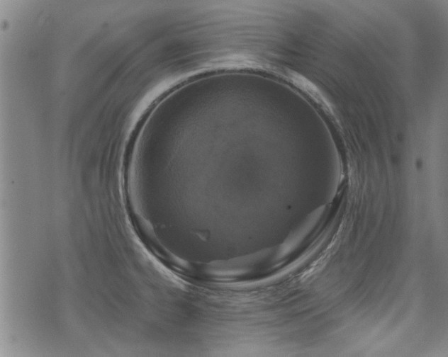 X0000072941334200607211052