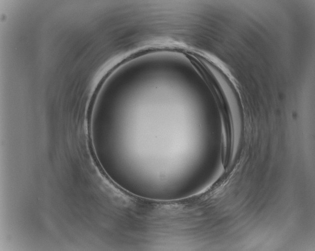 X0000072941335200607211052