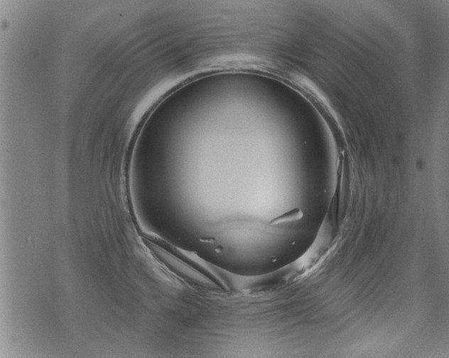 X0000072941336200607211052