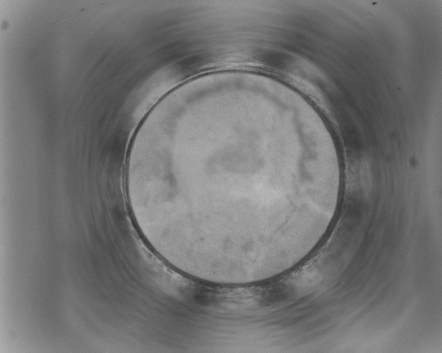 X0000072941338200607211052