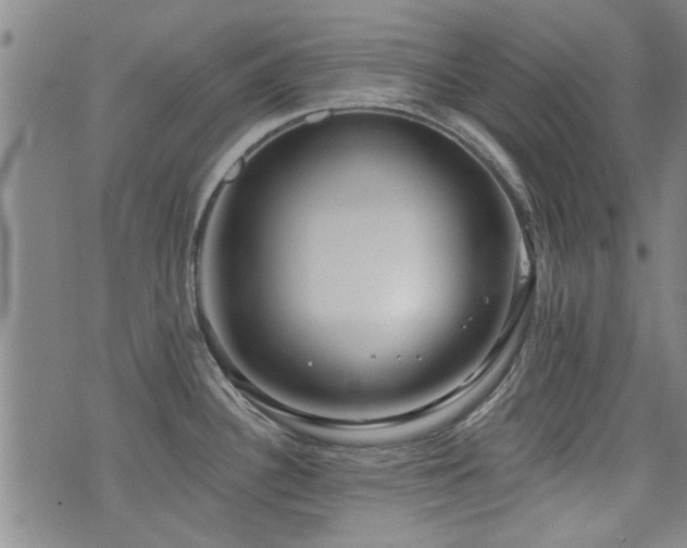 X0000072941340200607211052