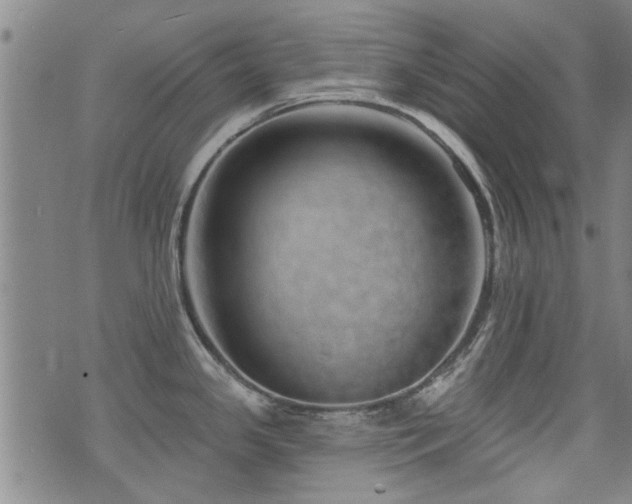 X0000072941341200607211052