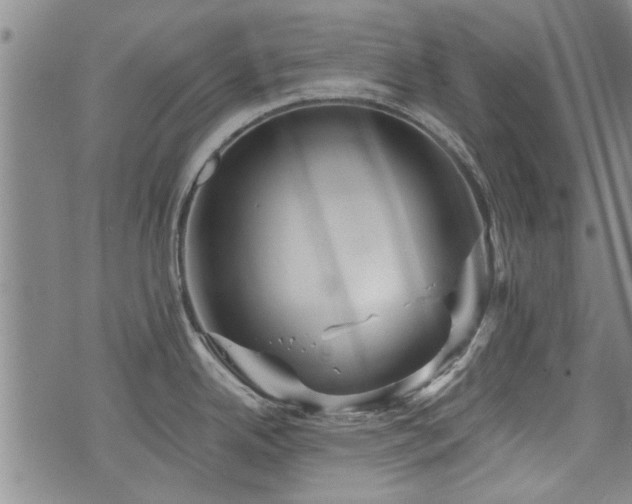 X0000072941342200607211052