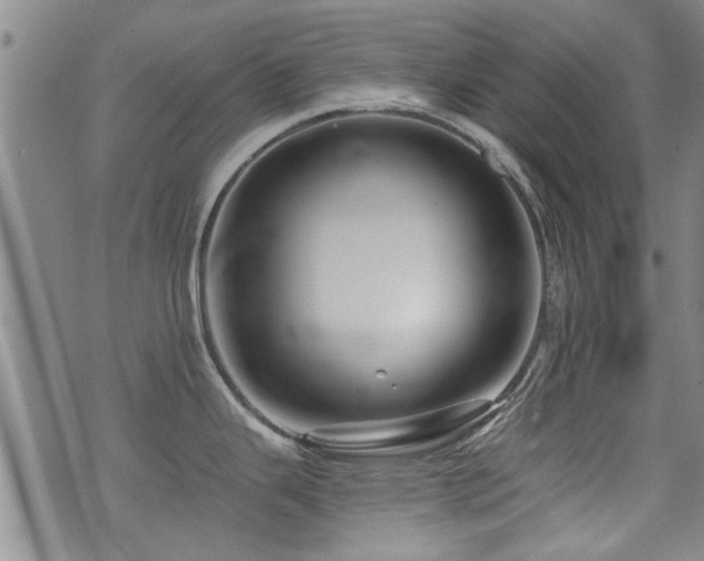 X0000072941343200607211052