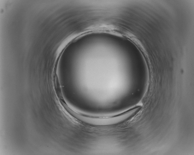 X0000072941344200607211052