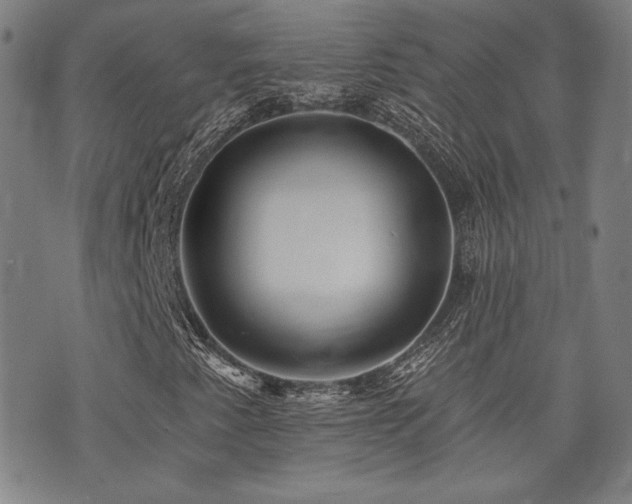 X0000072941345200607211051