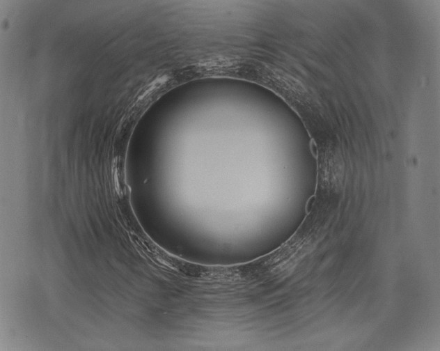 X0000072941346200607211051