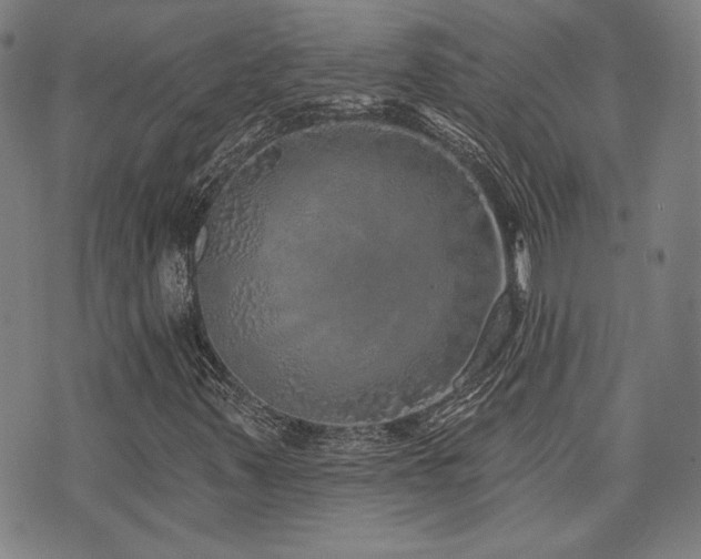 X0000072941347200607211051