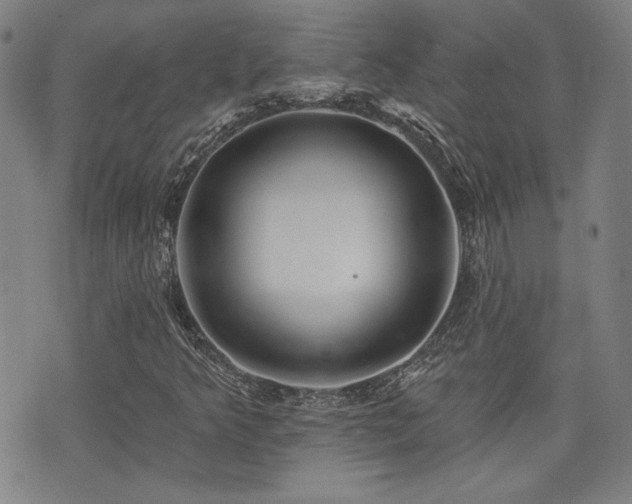 X0000072941349200607211051