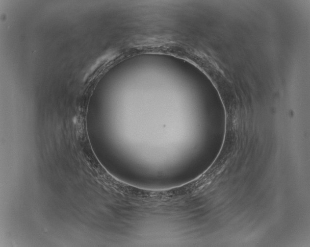 X0000072941350200607211051