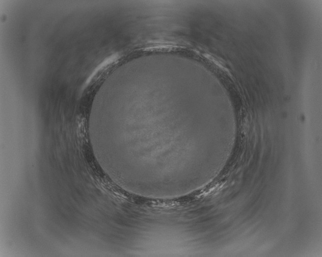 X0000072941351200607211051