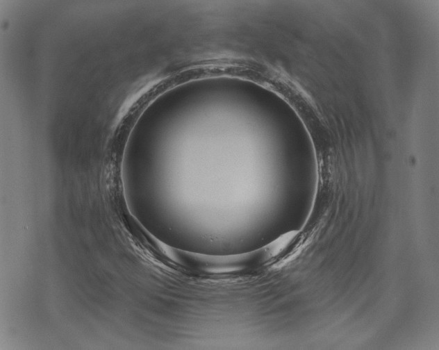 X0000072941352200607211051