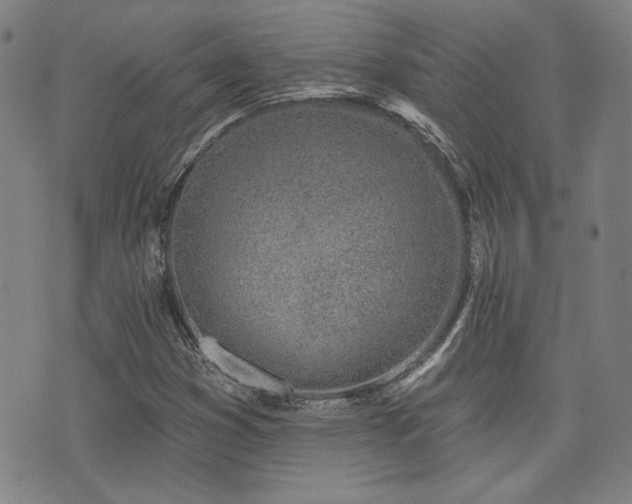 X0000072941353200607211051