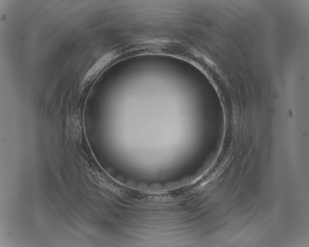 X0000072941354200607211051