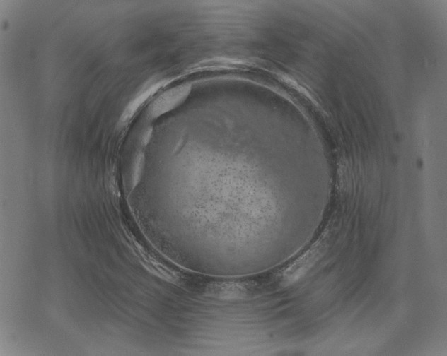 X0000072941355200607211051