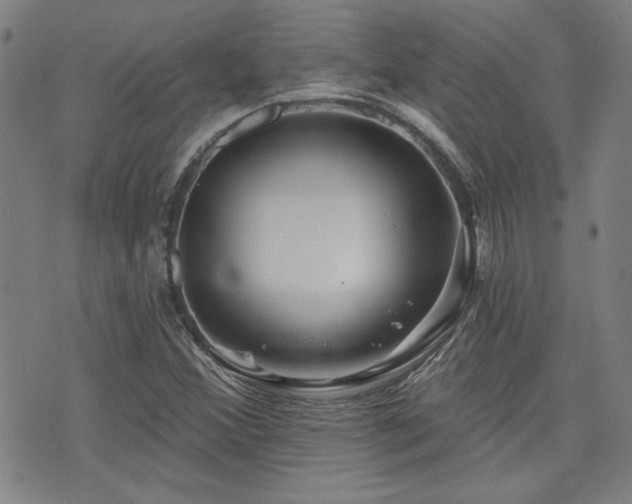 X0000072941356200607211051